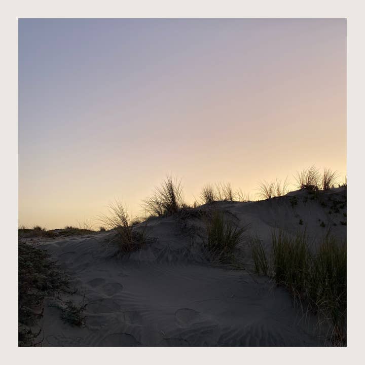 Studio Tarea - Wholesale Jar/Filled Candle - Gironde – Fruity and Bright Candle Inspired by Bordeaux5