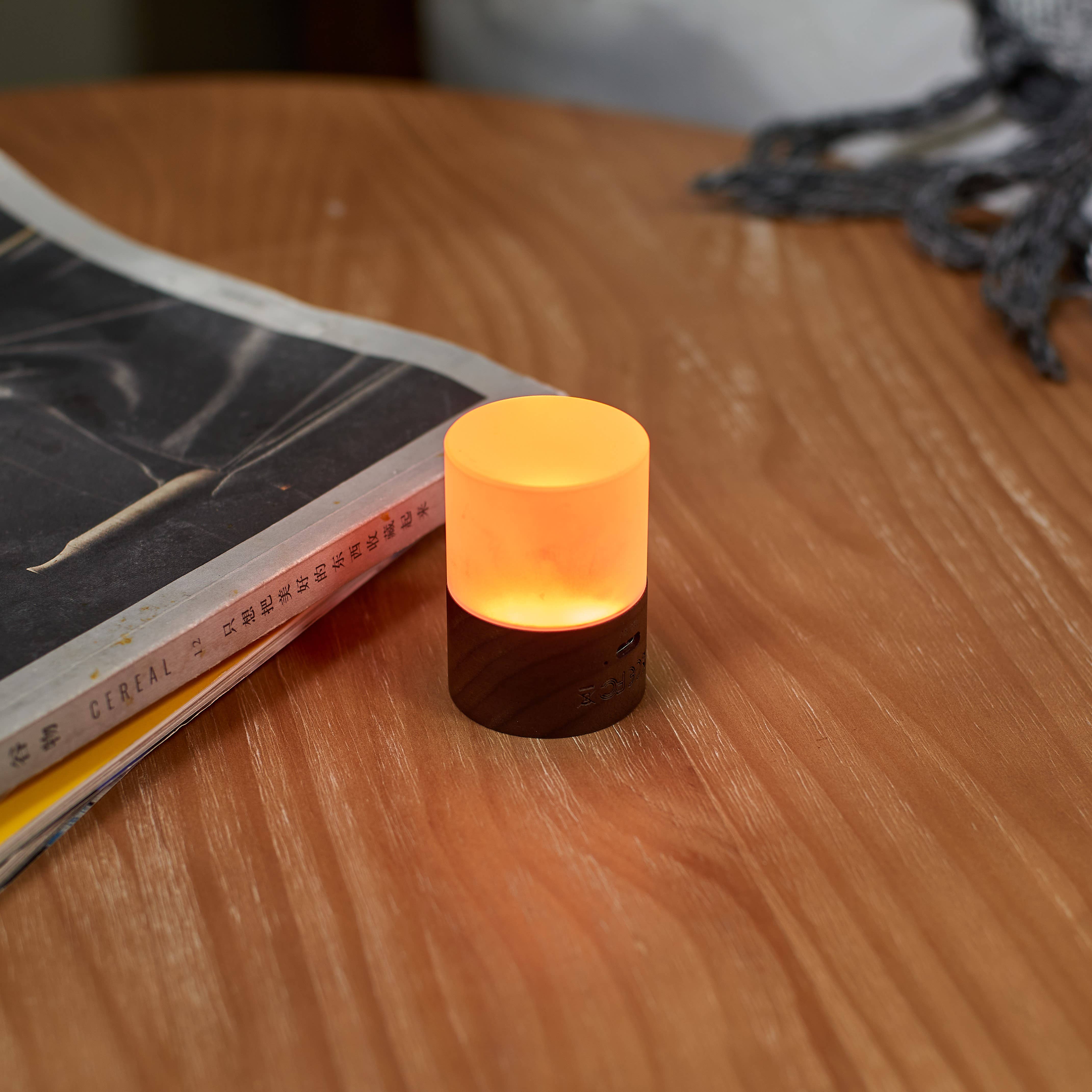 Gingko Design - Wholesale Accent/Desk Lamp - Lemelia Light19