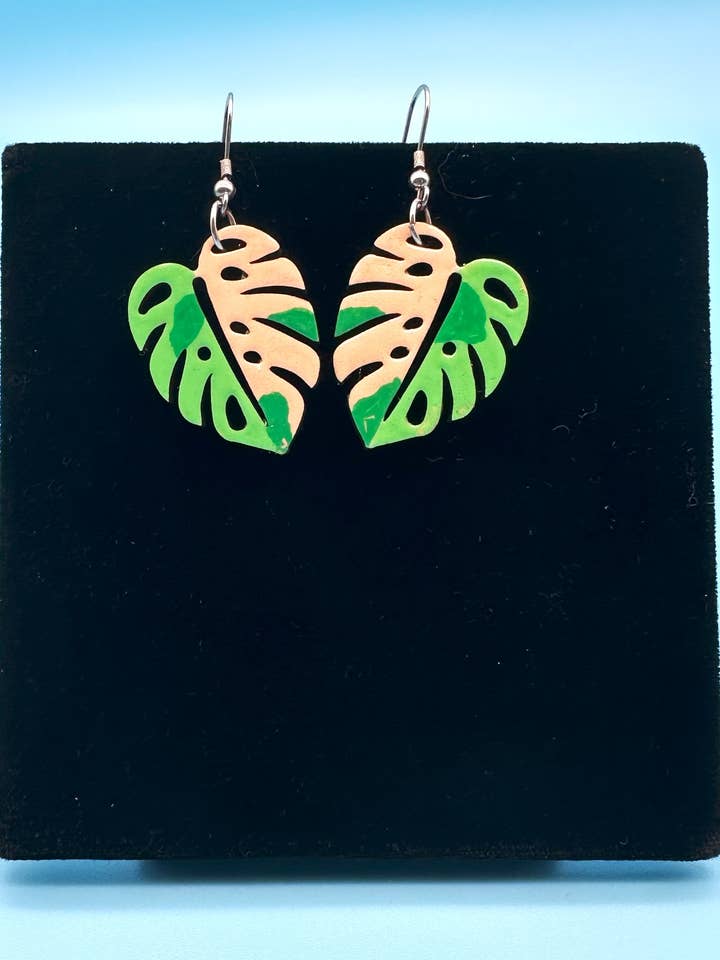 Variegated Monstera for wholesale by Mom of All Trades