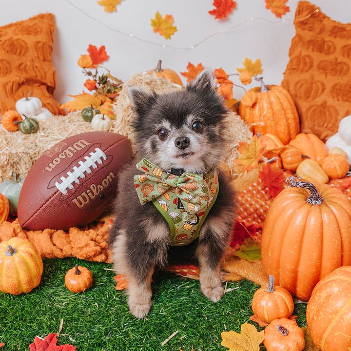 SASSY WOOF - Wholesale Pet Bow Tie - Dog - Dog Sailor Bow - Wurst Behavior4