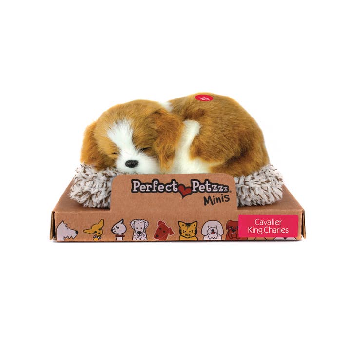 88Unlimited/Perfect Petzzz - Wholesale Stuffed/Plush Toy - Kids & Baby - Mini 07 - Cavalier King Charles1