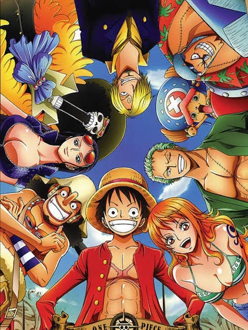 Poster animé One Piece Circle, taille 24 x 36 pour la vente par Posters Wholesale