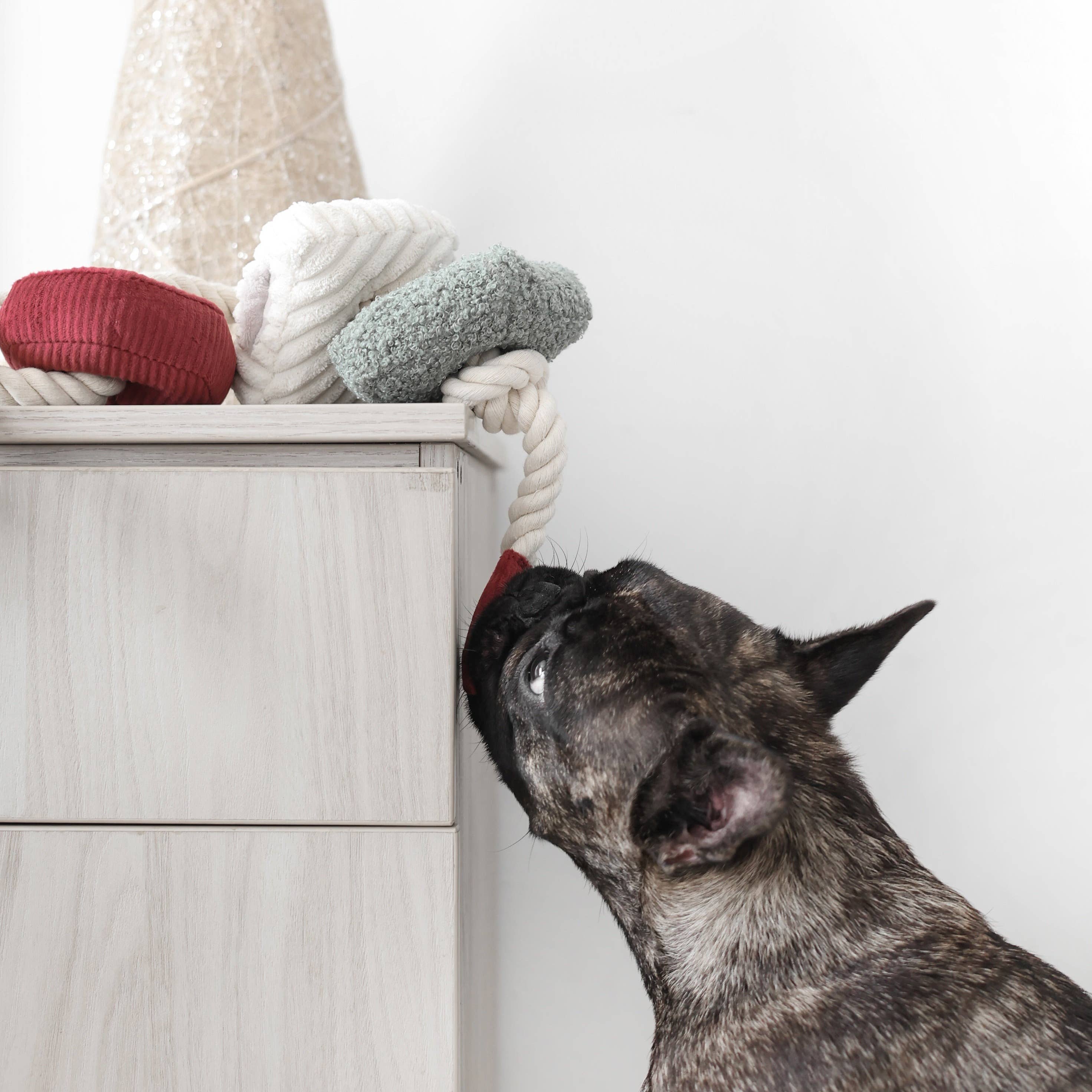 Lambwolf Collective - Wholesale Pet Rope Toy - Dog - XMAS BLOCS//ENRICHMENT DOG TOY // HOLIDAY5