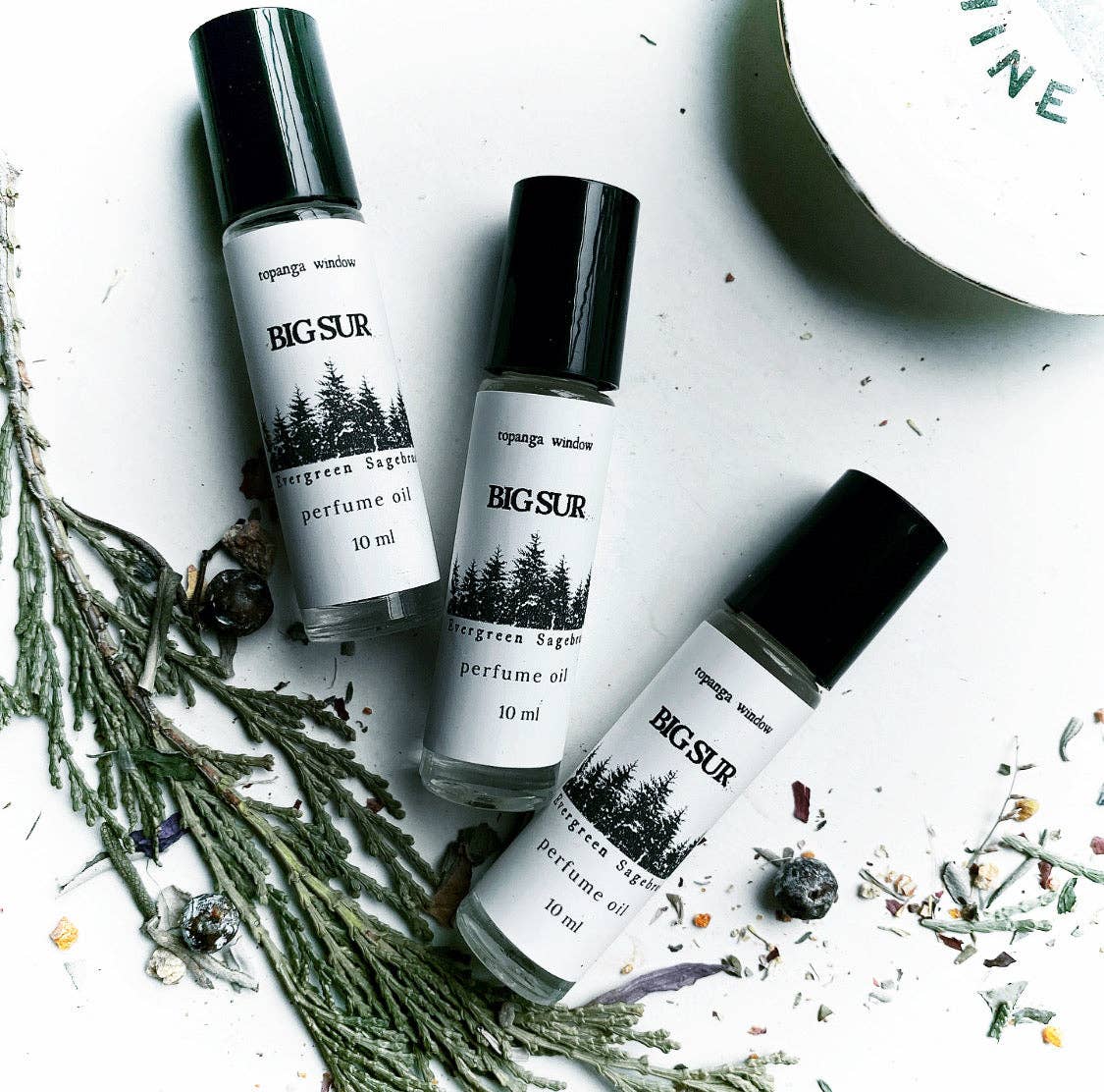 Topanga Window – Engroshandel Duftolie – STOR SUR PARFUMEOLIE