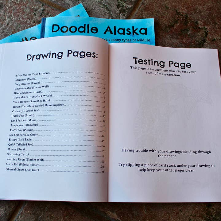 FJ Creations – wholesale Colouring and activity book – adult – Doodle Alaska Coloring Book3
