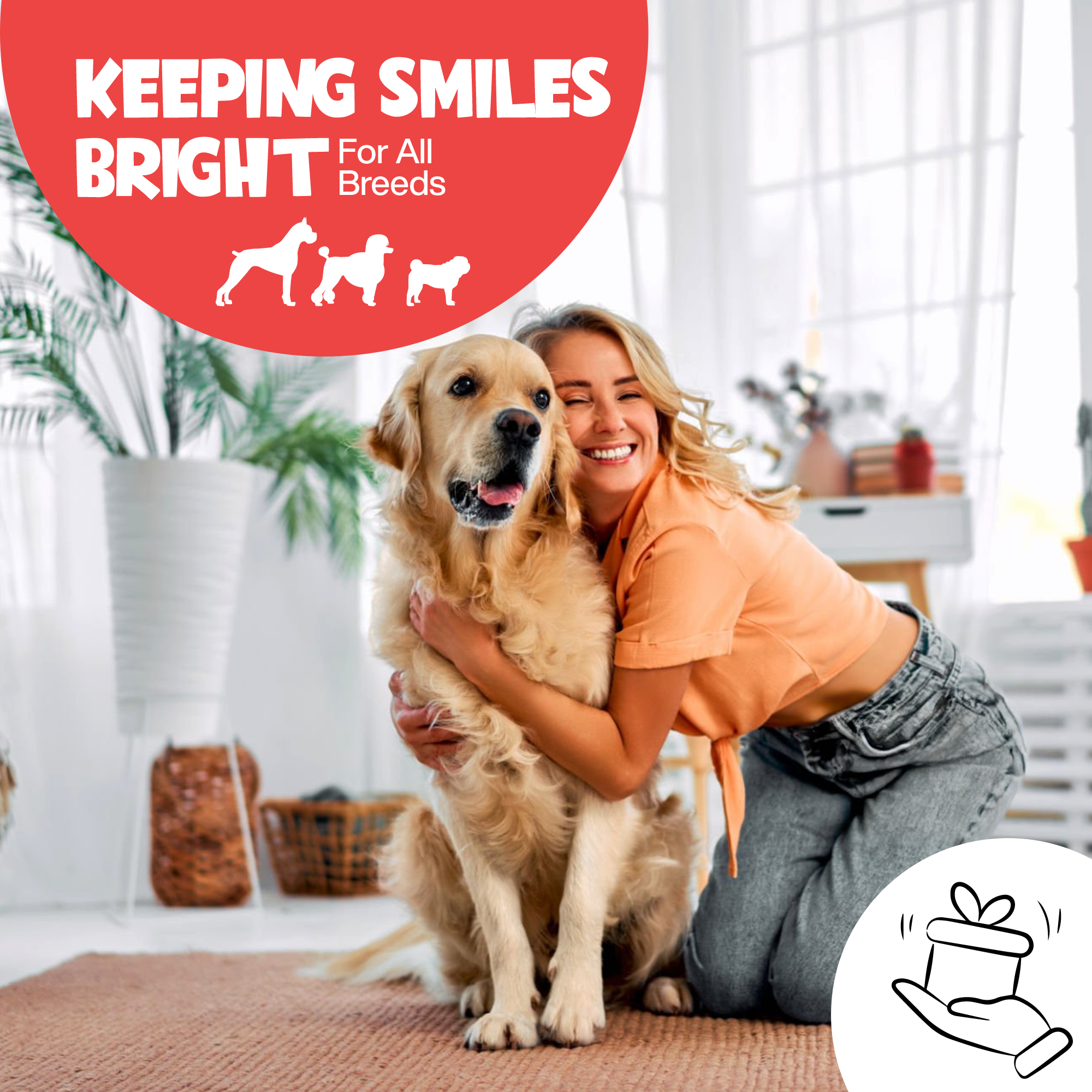 Roofus - Wholesale Pet Toothpaste - Dog - Roofus Dental Wipes | Fragrance Free | 60ct5