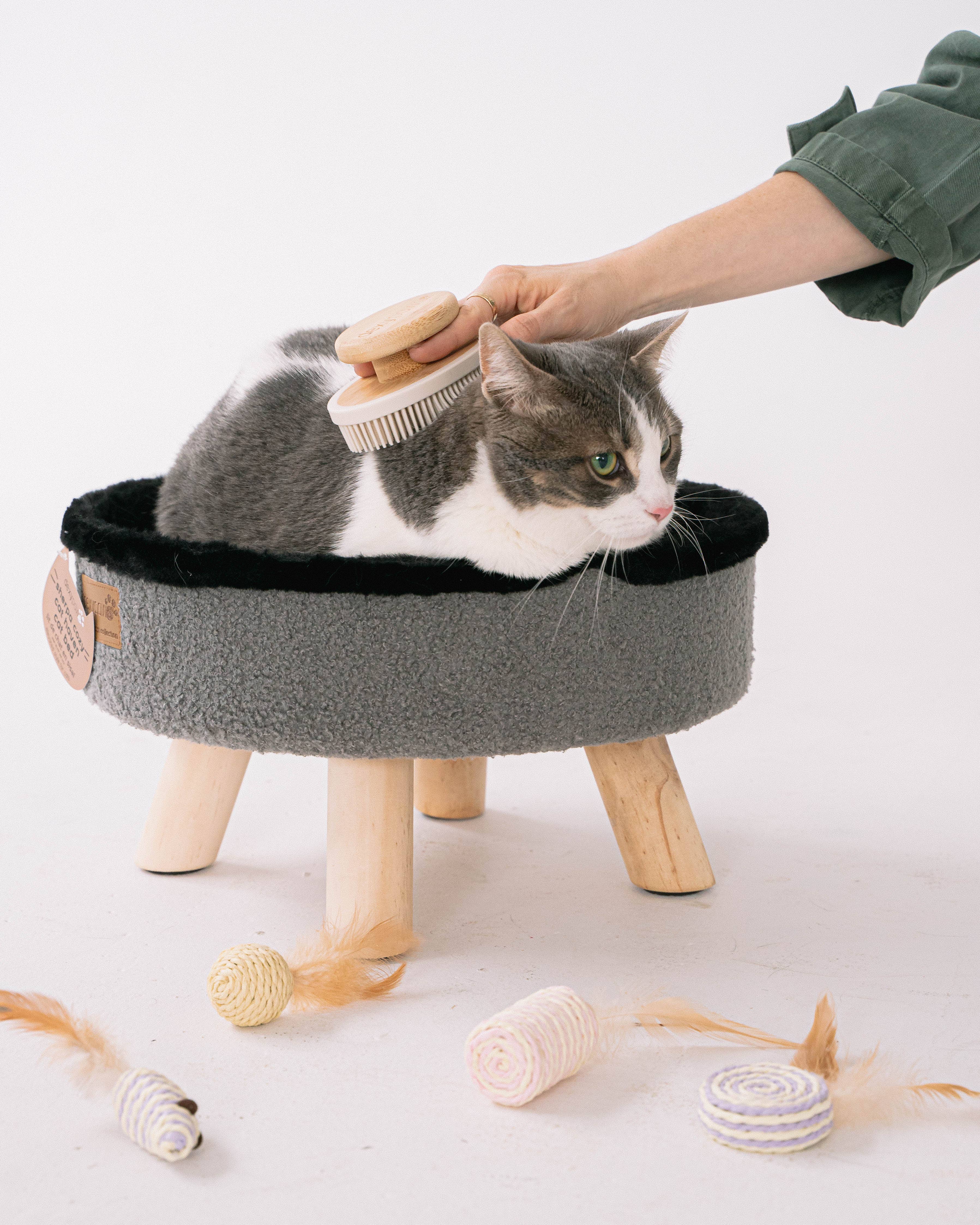 dexypaws - Wholesale Pet Brush - Cat/Dog - Soft Silicone Bristle Brush for dogs & cats4