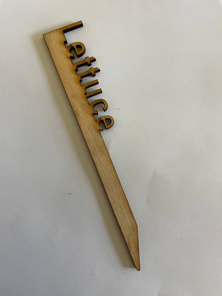 Lettuce 6” (10 count) for wholesale by TimberviewForge