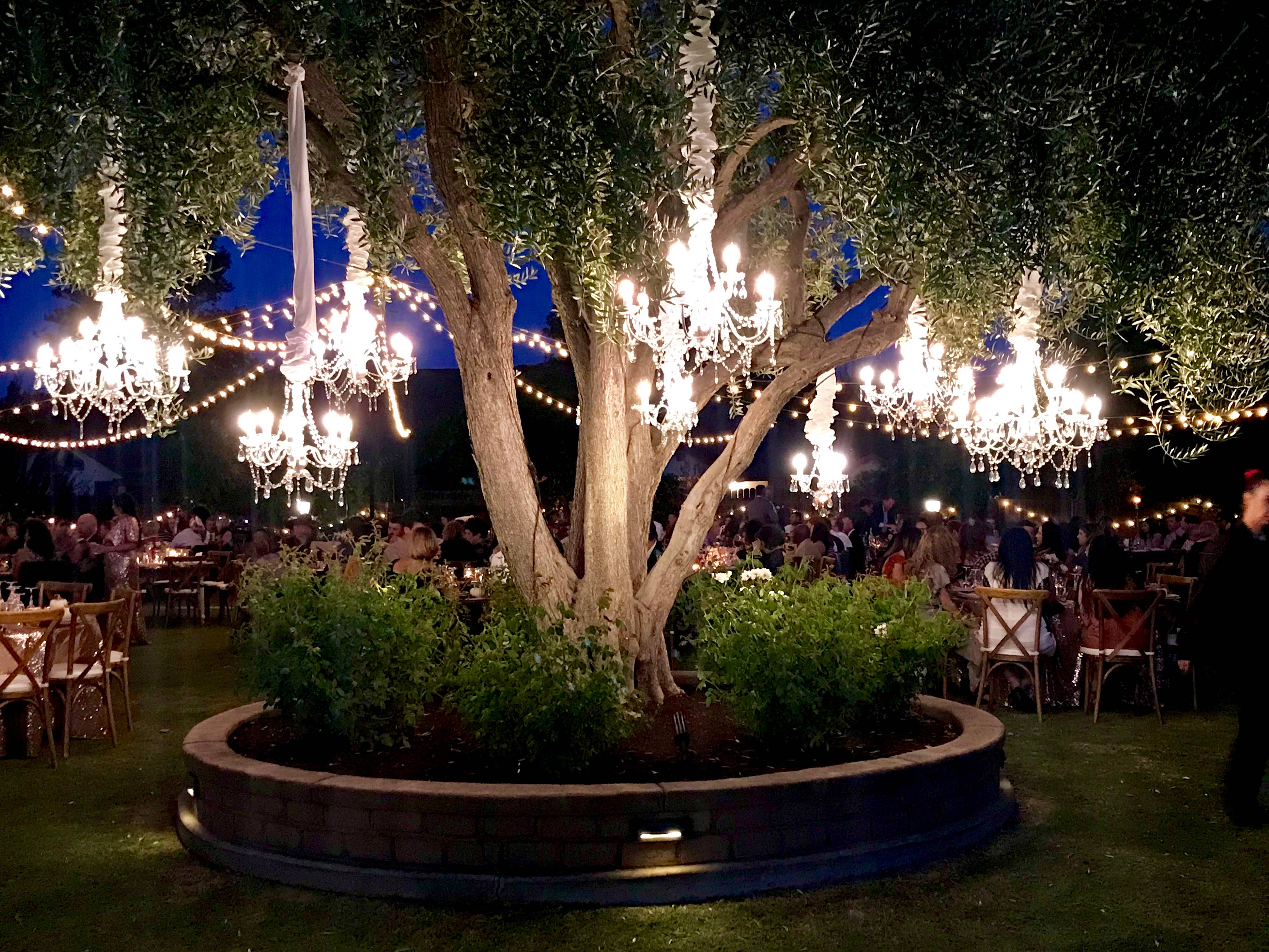 Think Brink - Wholesale Chandelier/Hanging Light - 9 Light Crystal White Plug-in Chandelier5