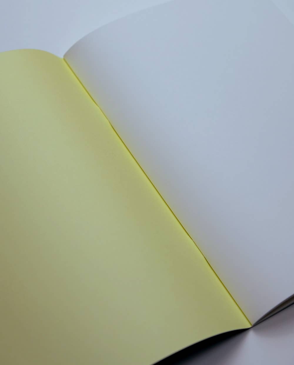 Haferkorn & Sauerbrey - Wholesale Notebook - Chrysanthemums Notebook1