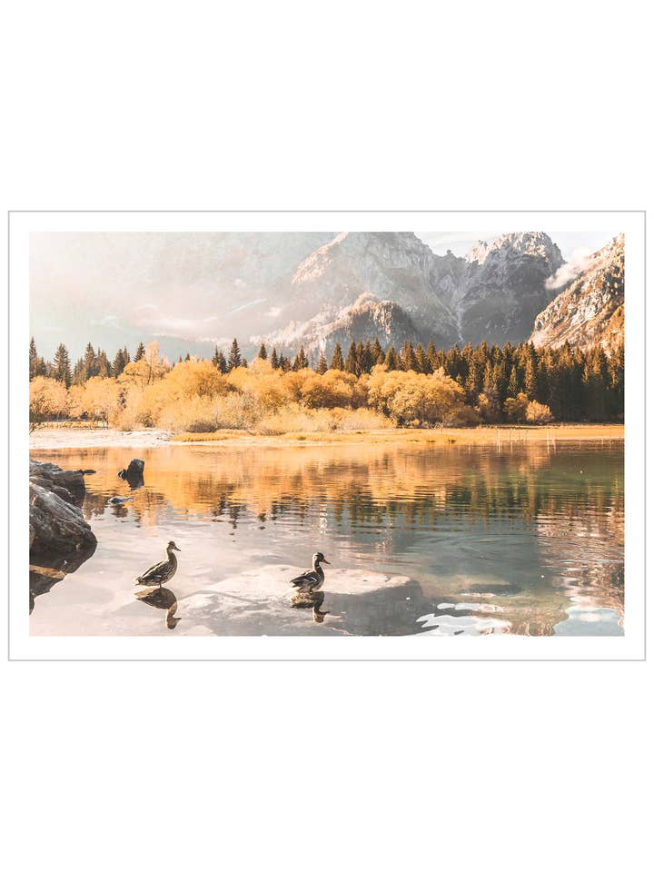 Eend Ochtendswim in een Meer, Italiaanse Alpen voor wholesale door Arteve Gallery