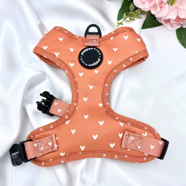 Pawsome Life - Wholesale Pet Harness - Dog - Dog Harness Hearts Adjustable Puppy Harness Small Dog No Pull7