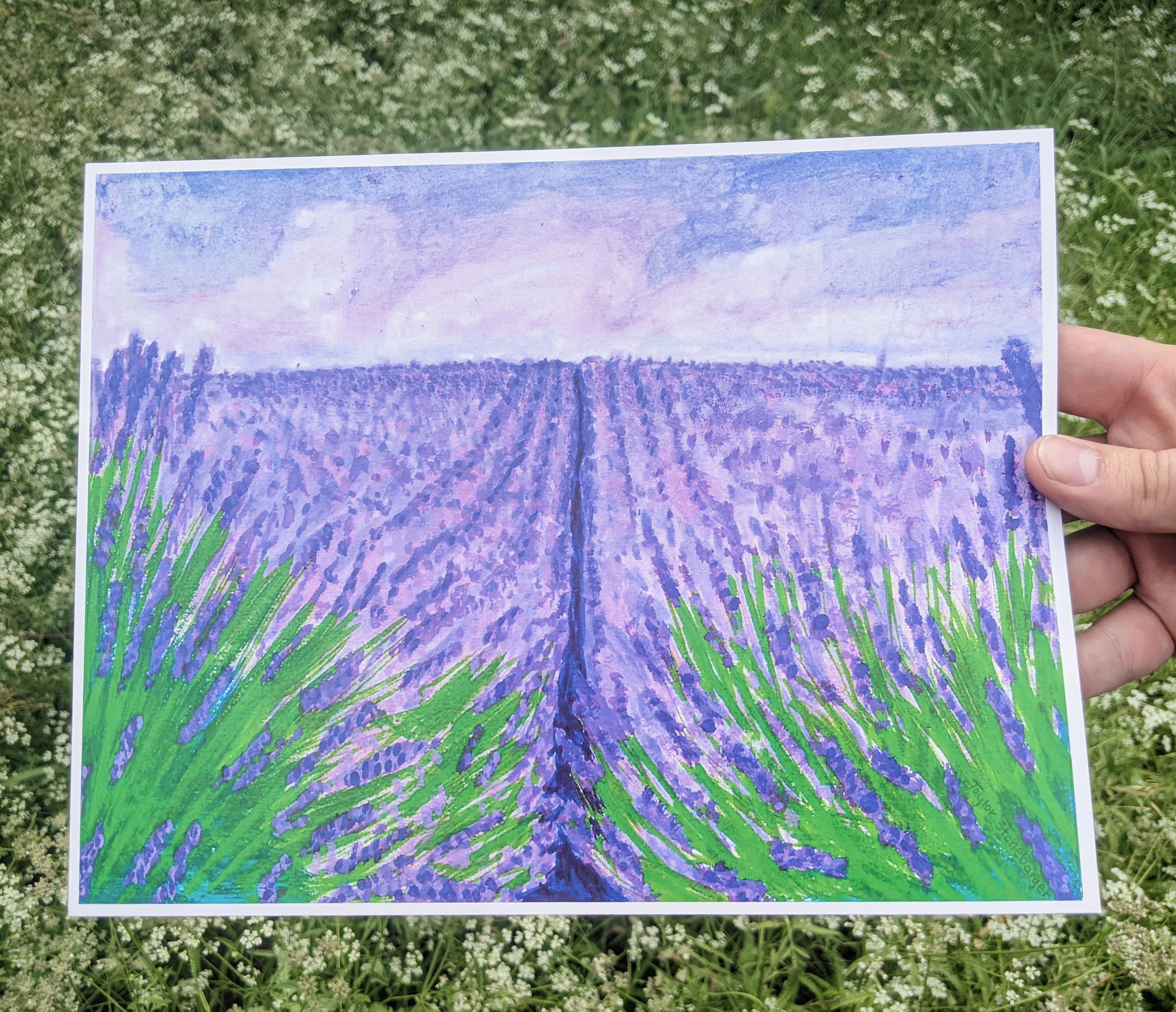 Taylor Stonebarger Creations - Wholesale Art Print - Lavender Field 8.5x11in Print1