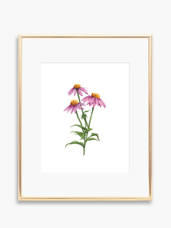 Kunstdruk met zonnehoed voor wholesale door Tara Feather Designs