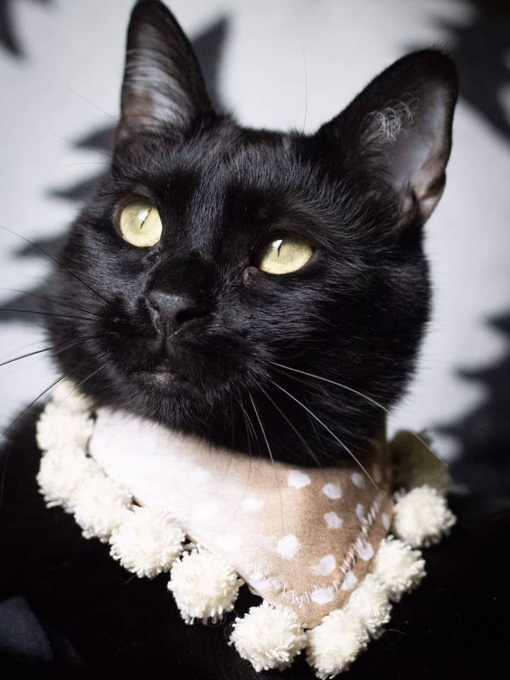 Bandana mit Rehkitz-Print für den Großhandel von Max Pet Products