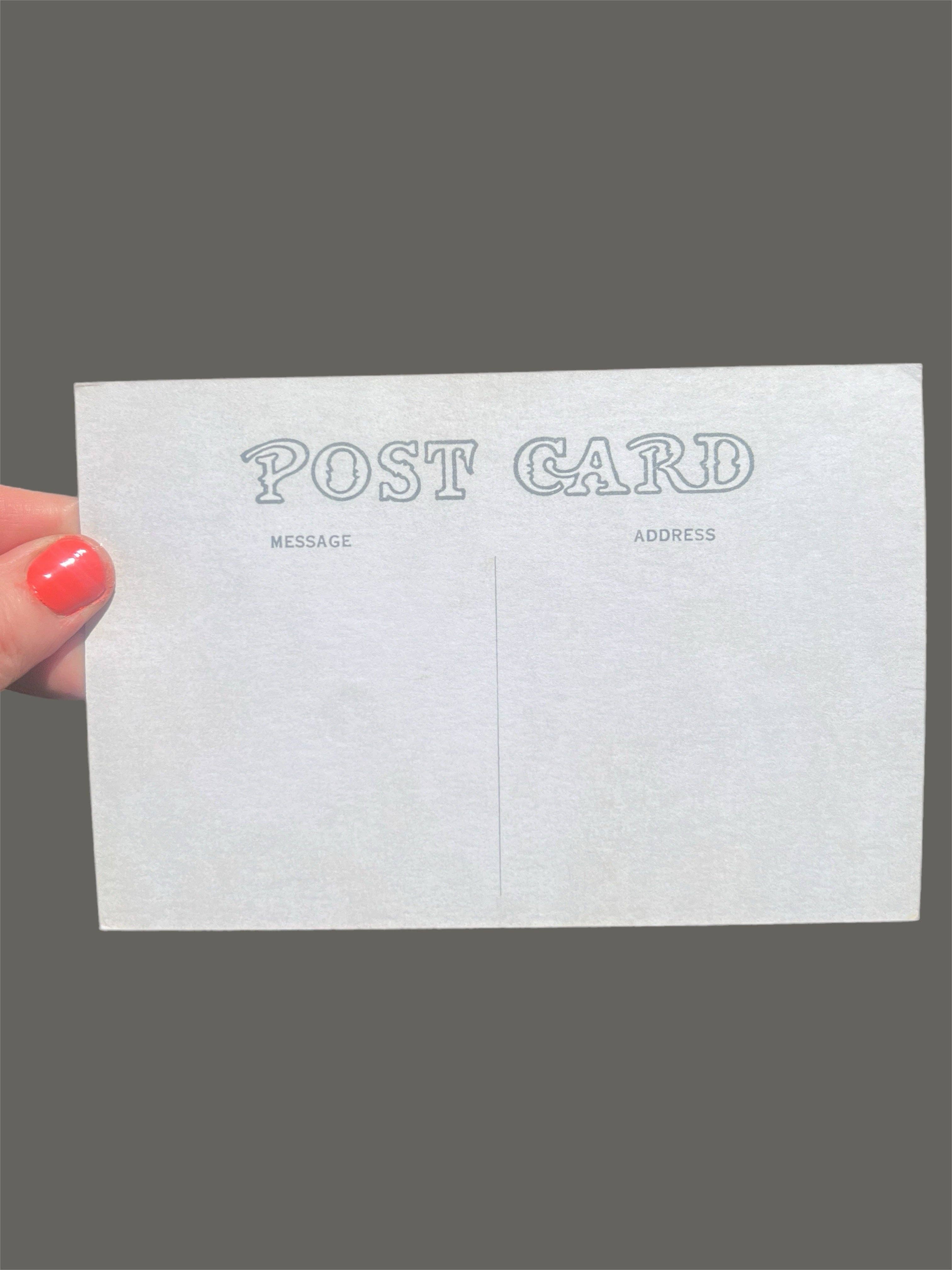 Astral Weekend - Wholesale Postcard - POSTCARD Floral Sorcery1