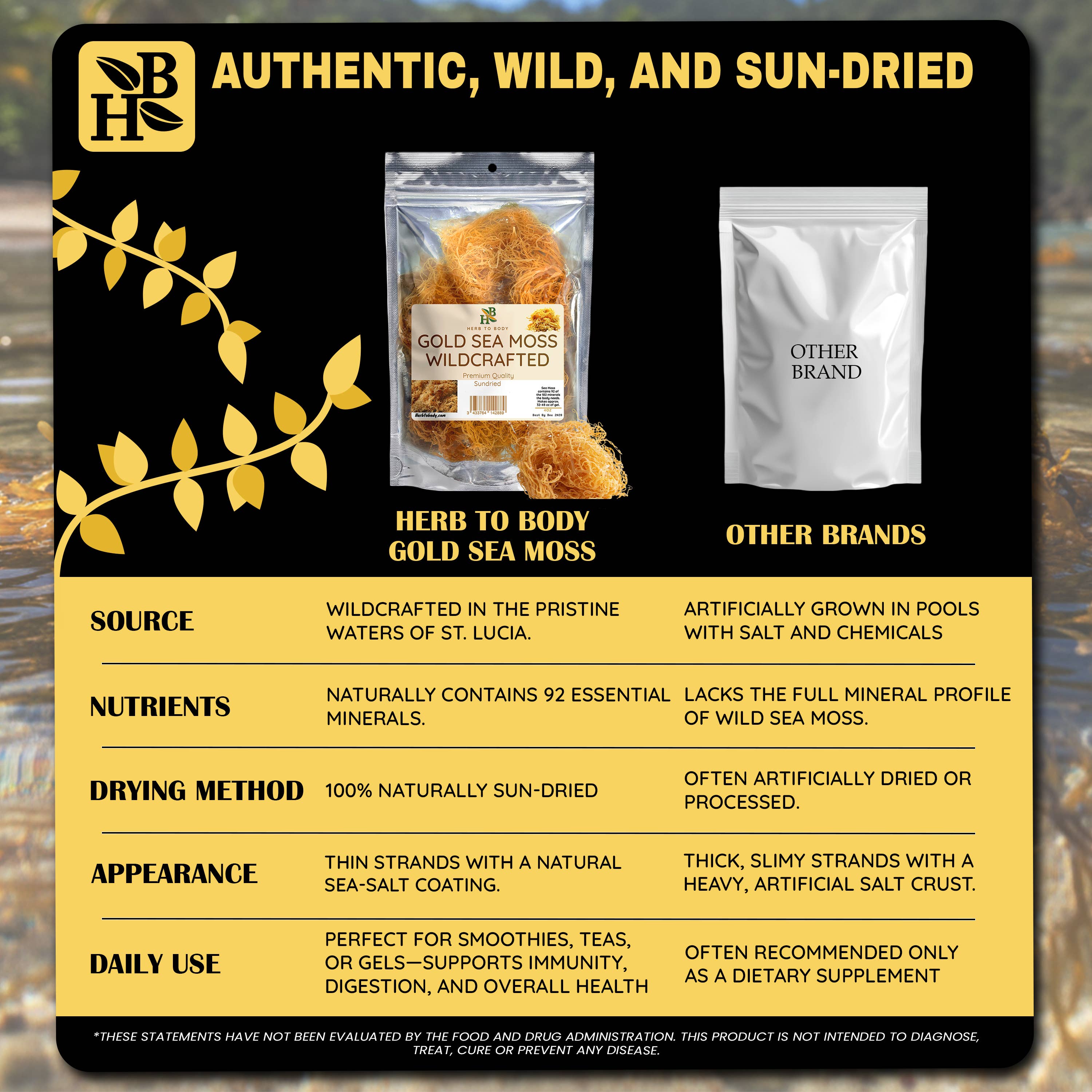 Herb To Body - Wholesale Herbs - Gold Sea Moss (Dry) -  Wildcrafted From Caribbean 4oz5