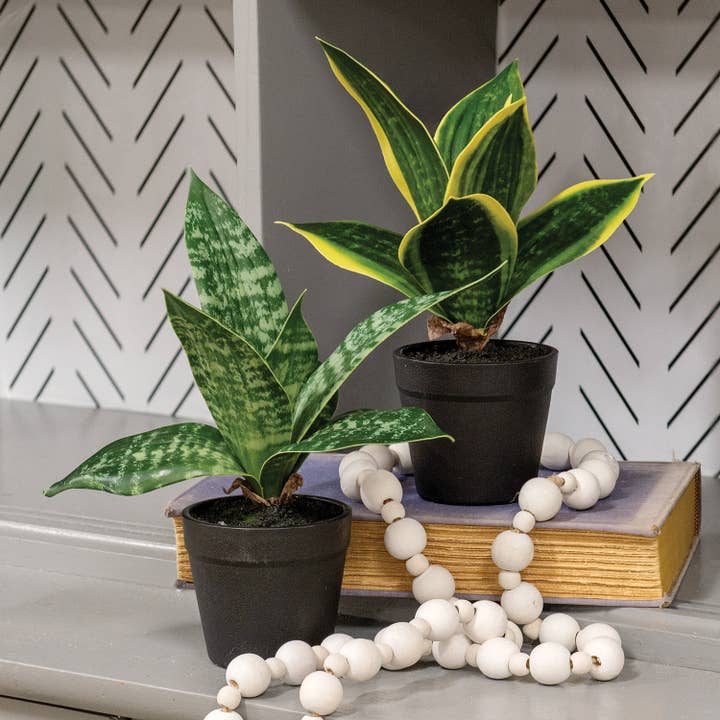 Saybrook Lane - Vendita all'ingrosso Piante artificiali - Pianta serpente verde chiaro in vaso2