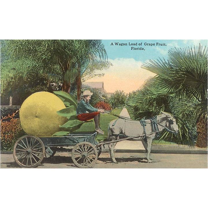 Magnete FL-1151 Pompelmo Gigante su Carrello, Florida per la vendita all'ingrosso da parte di Found Image Press