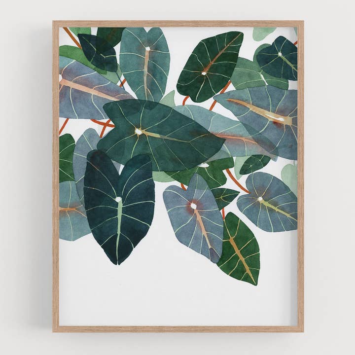 Impressão artística Caladiums por atacado de May We Fly