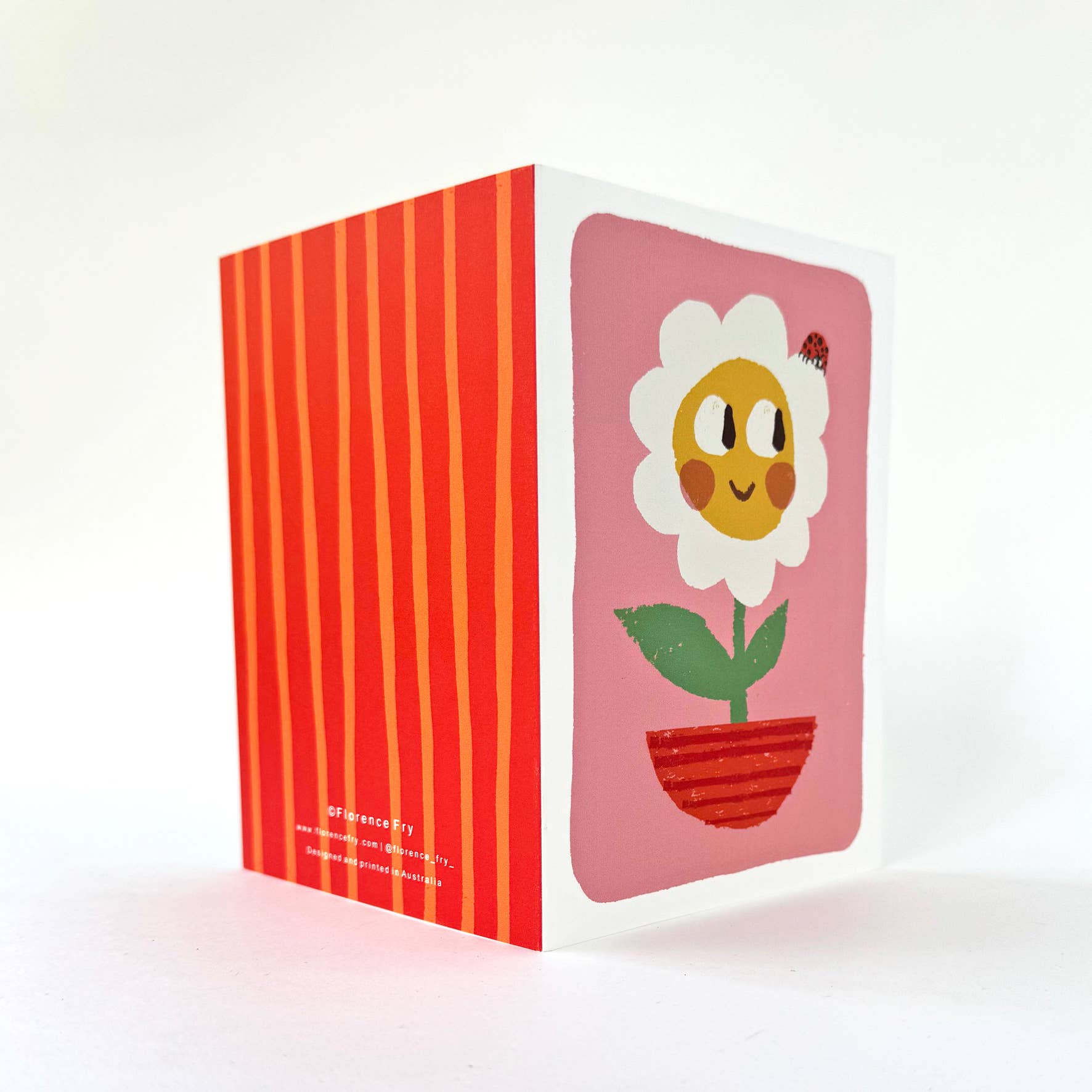 Florence Fry - Wholesale Everyday Greeting Card - Daisy Flower Pot Friend4