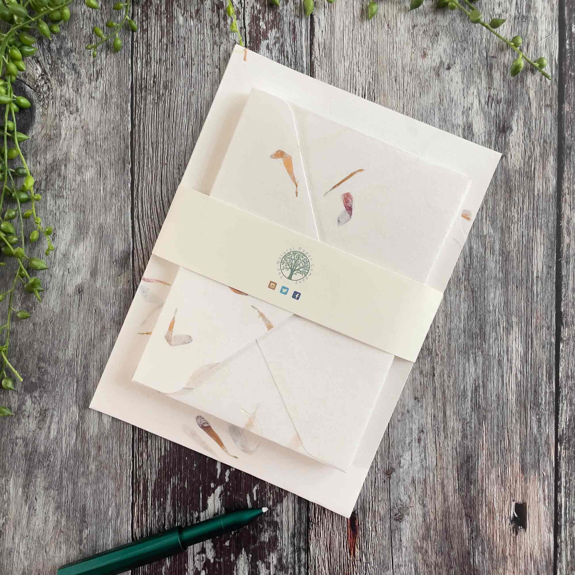The Natural Paper Company - Wholesale Stationery/Notecard Set - Aster - Floral Handmade Paper and Envelope Set12