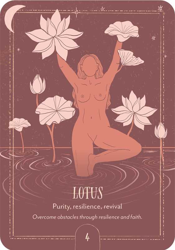 Simon & Schuster - Wholesale Tarot Cards - Earth Song Oracle by Tarn  Ellis4