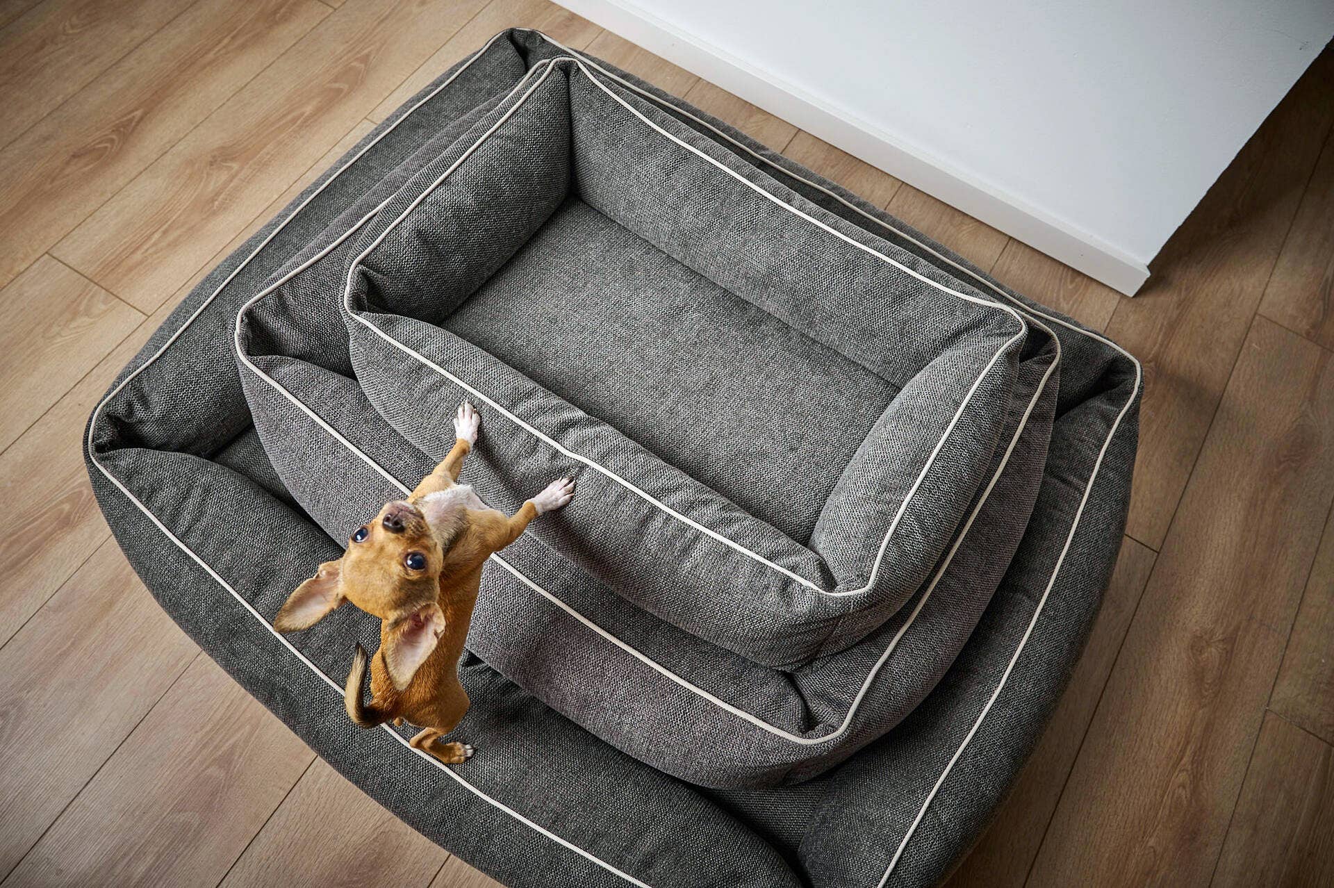 LABONI - Volentis GmbH – wholesale Pet bed – Dog – DOGGY DOG4