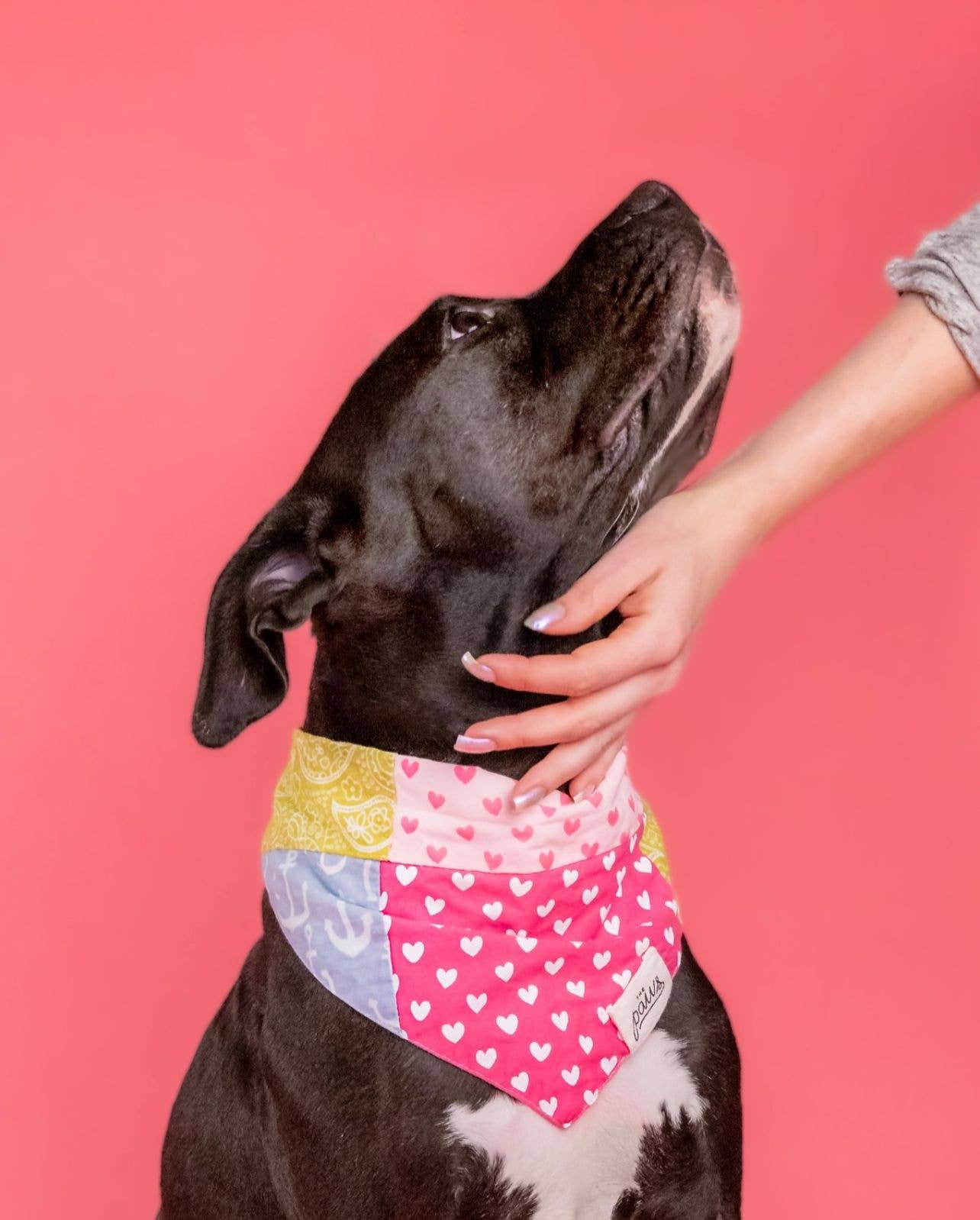 The Paws - Vente Bandana – chien - Patches the Upcycled Dog Bandana1