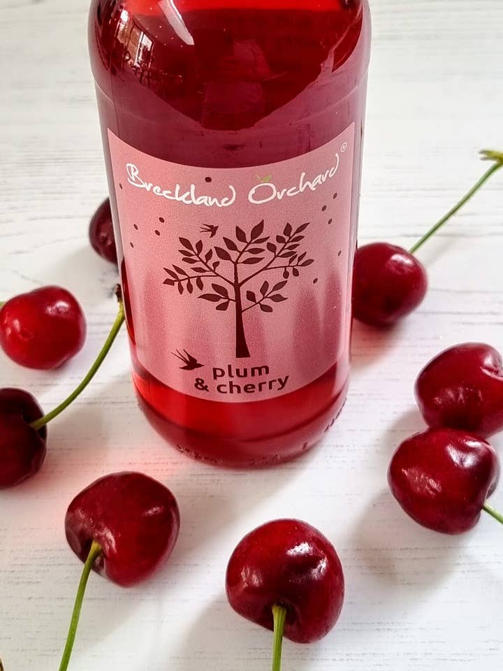 Plum and Cherry Posh Pop 275ml by Breckland Orchard for wholesale by Breckland Orchard