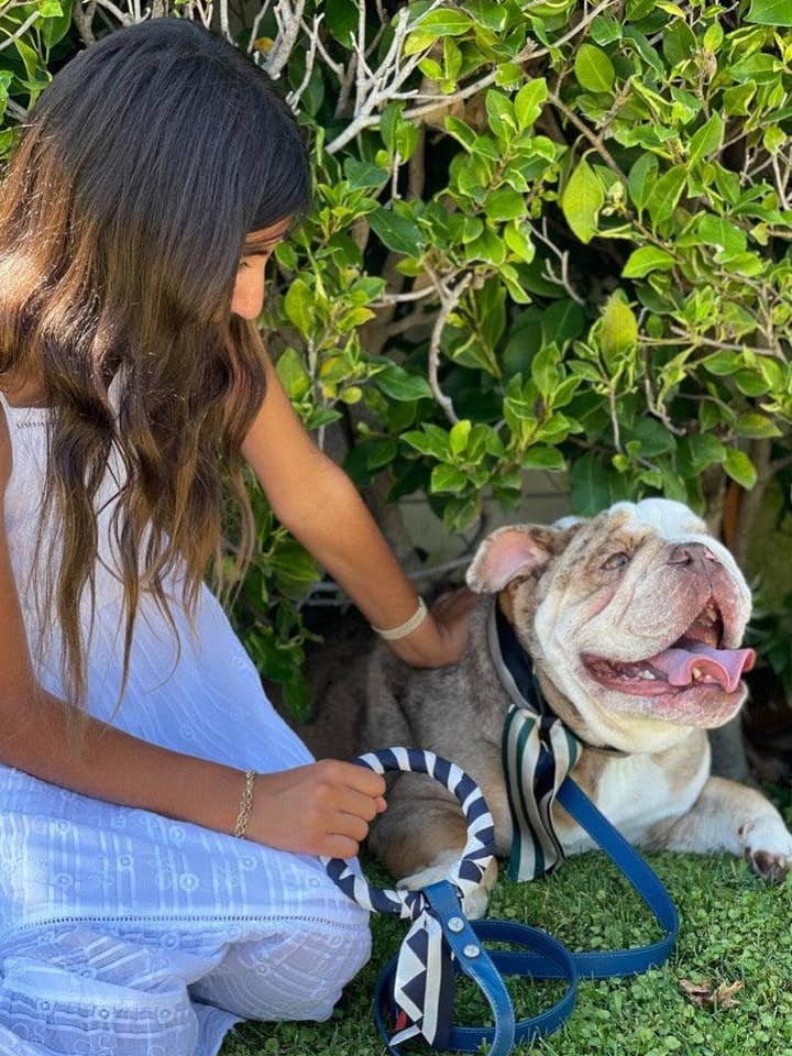 Shaya Handle, chien de compagnie en soie Twilly, fabriqué à la main pour la vente par Shaya Pets