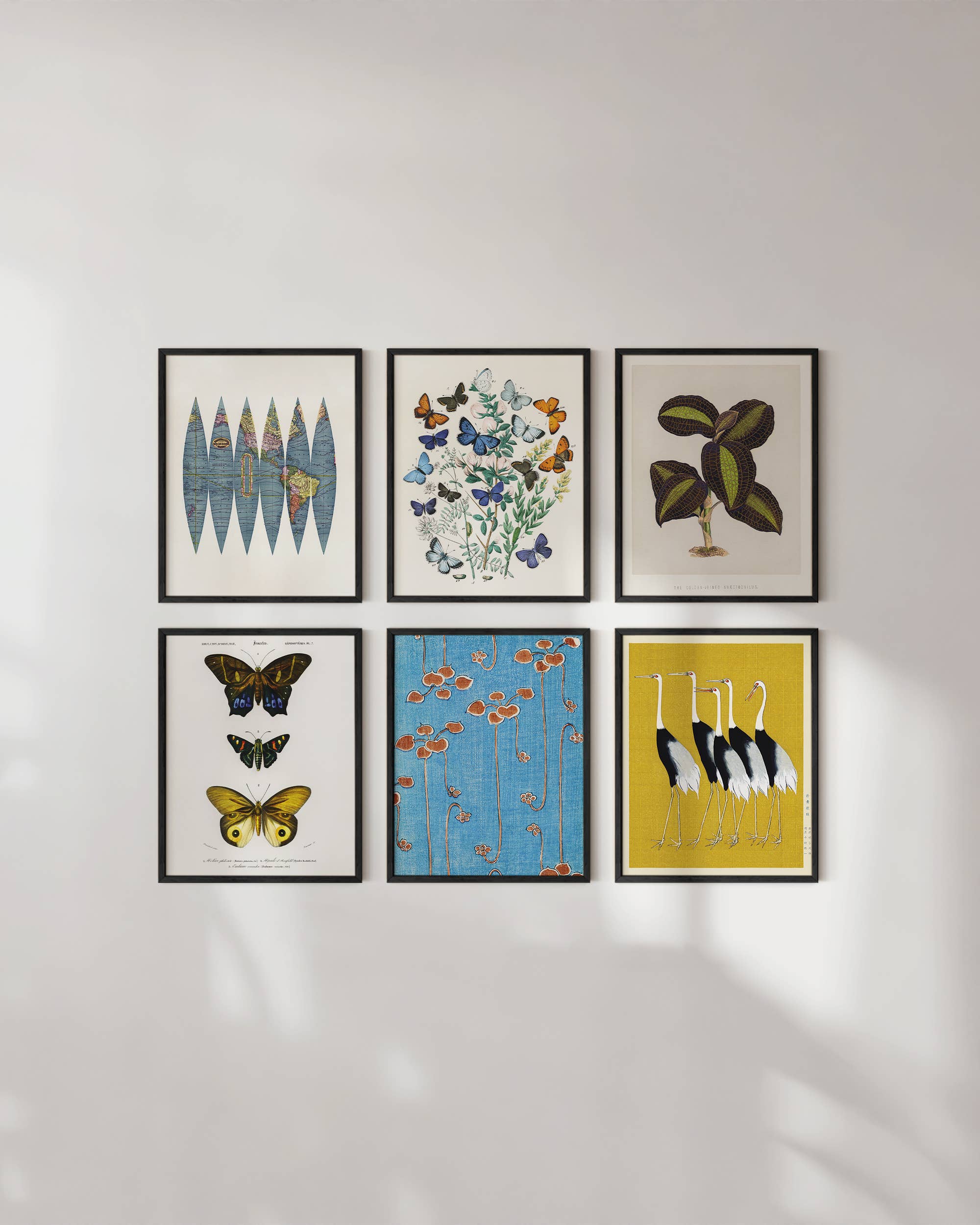 Haus and Hues - Wholesale Gallery Wall Set - Eclectic Set3