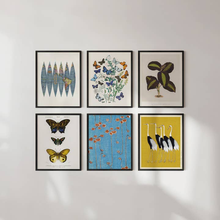 Haus and Hues - Wholesale Gallery Wall Set - Eclectic Set3