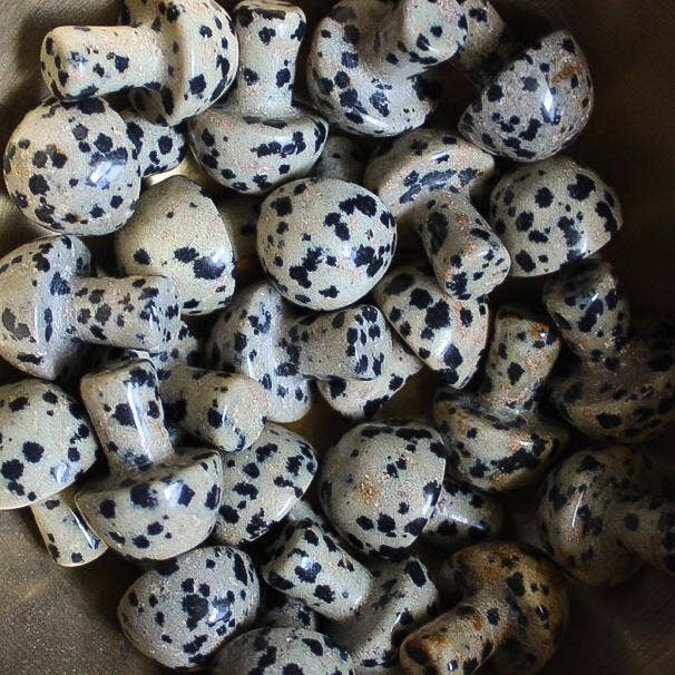 Pebble House – wholesale Spiritual stone/crystal – Dalmatian Jasper Mini Mushroom (Crystals & Stones)1