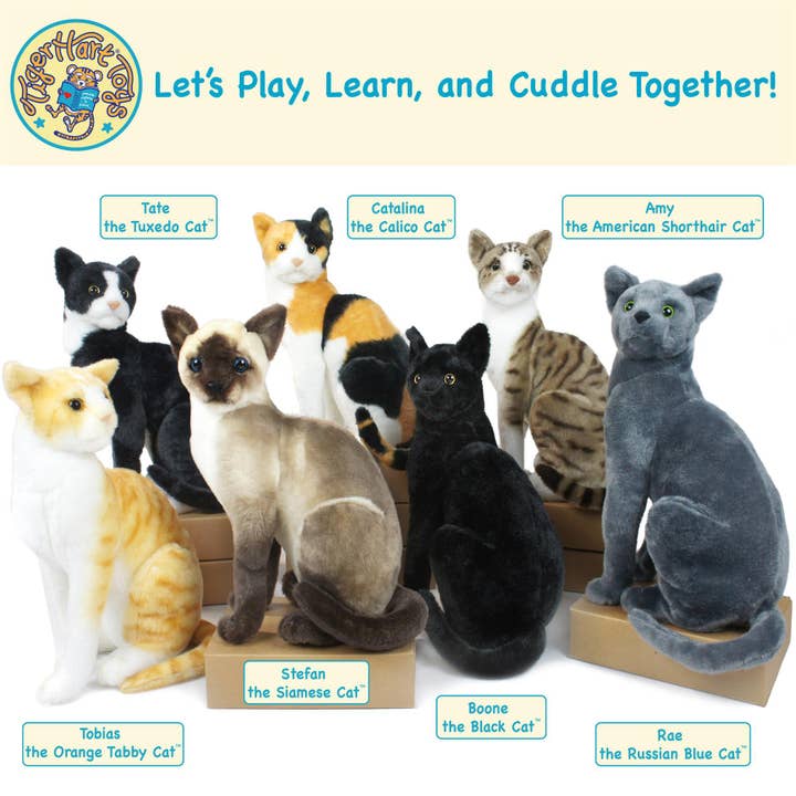 VIAHART Toy Co. – wholesale Fyllda/plyschleksaker - Barn och baby – Amy Den Amerikanska Korthåriga Katten | 14 Tum Gosedjurs Plysch5