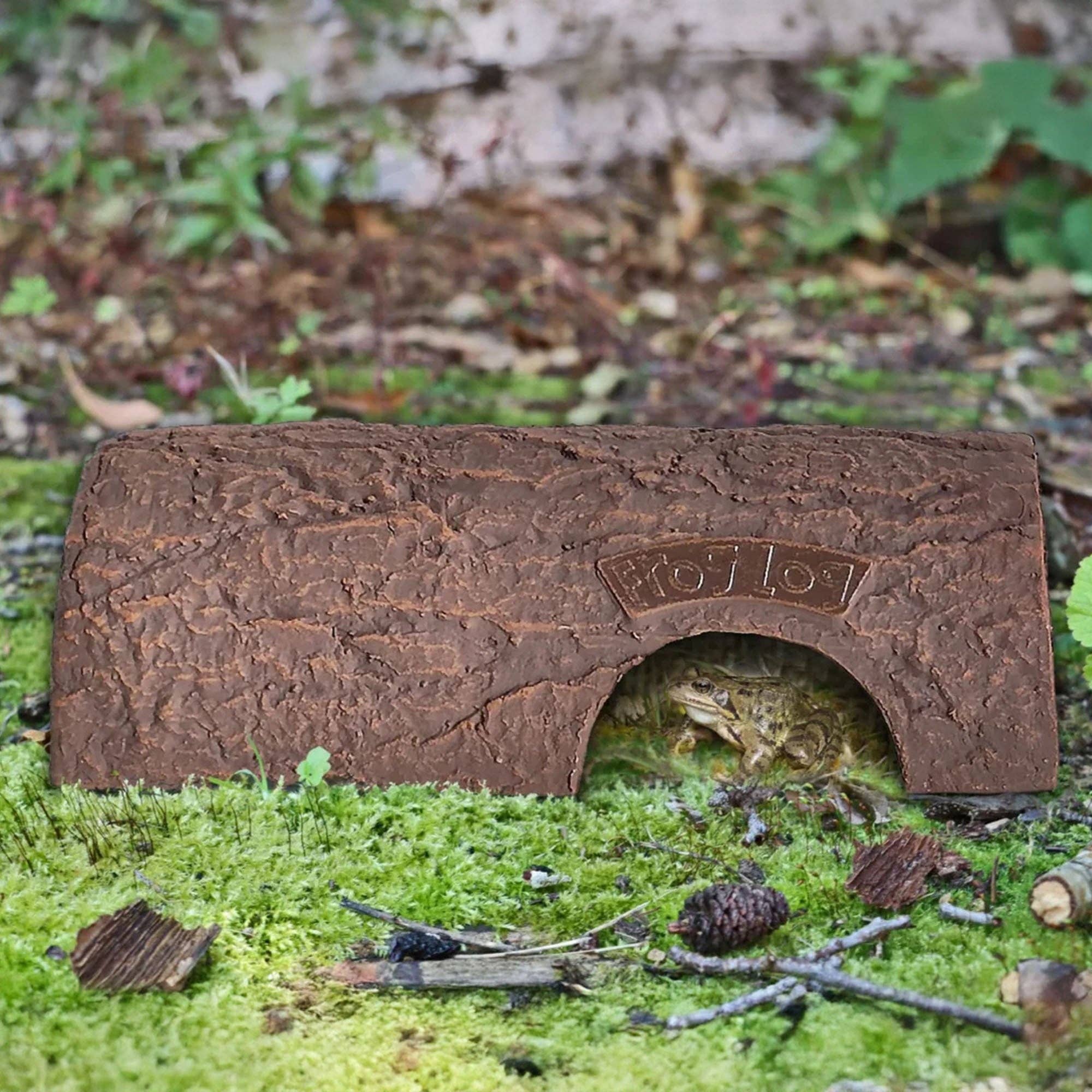 Green Feathers - Wholesale Outdoor Ornament/Decor - Frog Log1