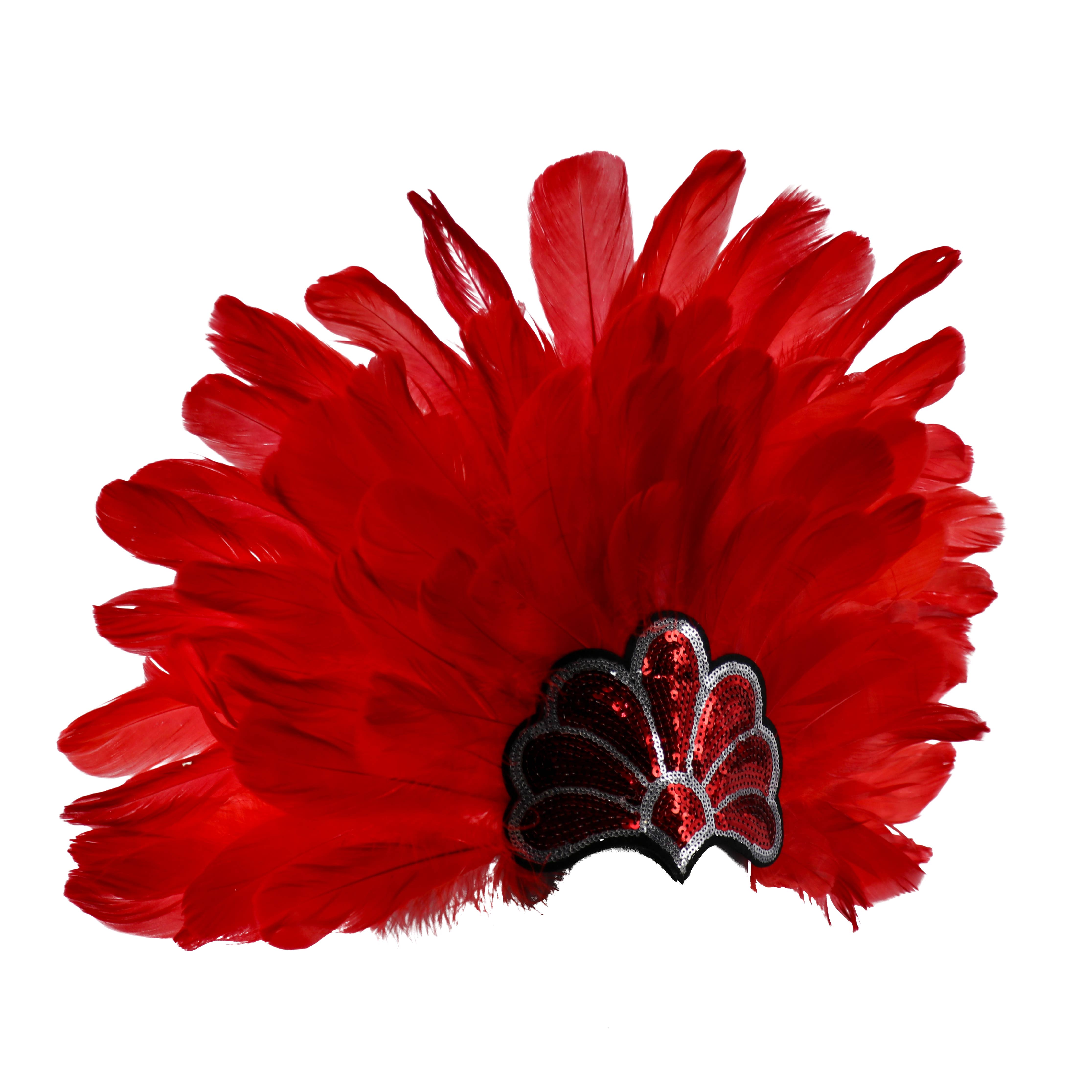 Western Fashion - Wholesale Costume - Women's - samba feather headdress0