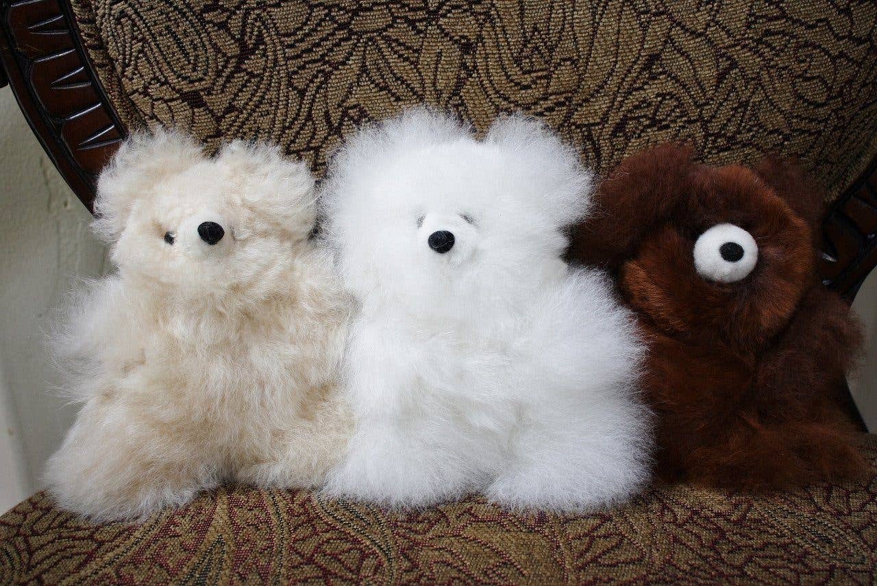 Choice Alpaca Products - Wholesale Stuffed/Plush Toy - Kids & Baby - Alpaca Pocket Teddy Bears0