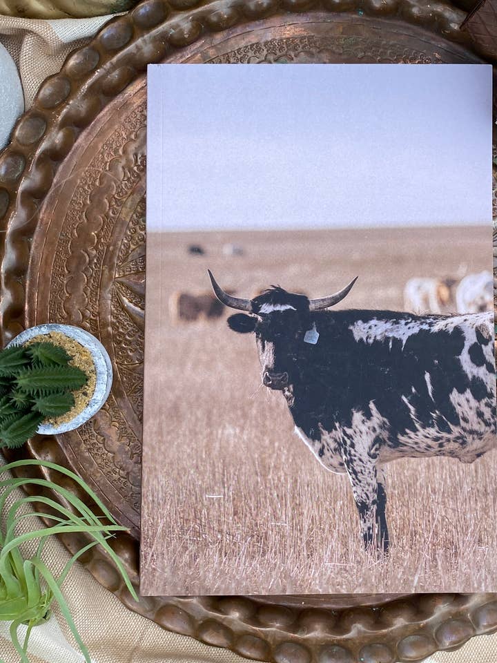 Blank Lined Notebook : #2 Cow in Pasture looking left for wholesale by You're Golden Co.
