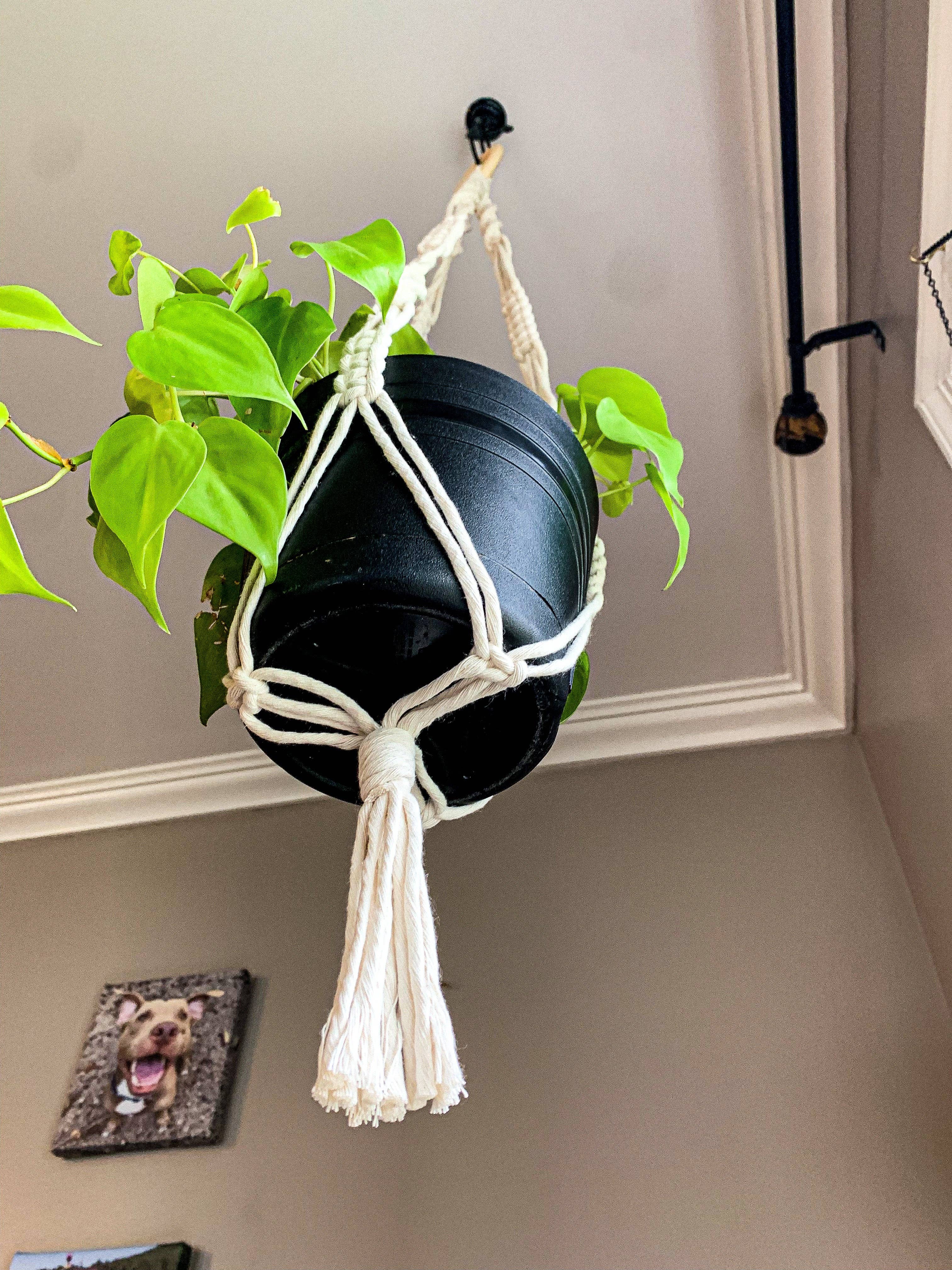Why Knot - Wholesale Hanging Planter - Plant Hanger "Shan" - Handmade Macrame Pot Holders2