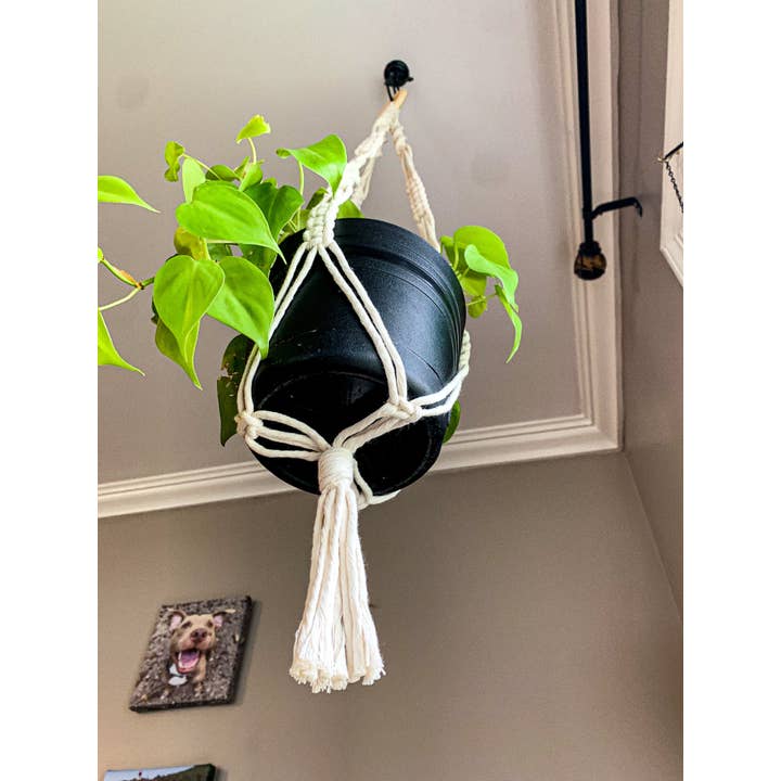 Why Knot - Wholesale Hanging Planter - Plant Hanger "Shan" - Handmade Macrame Pot Holders2
