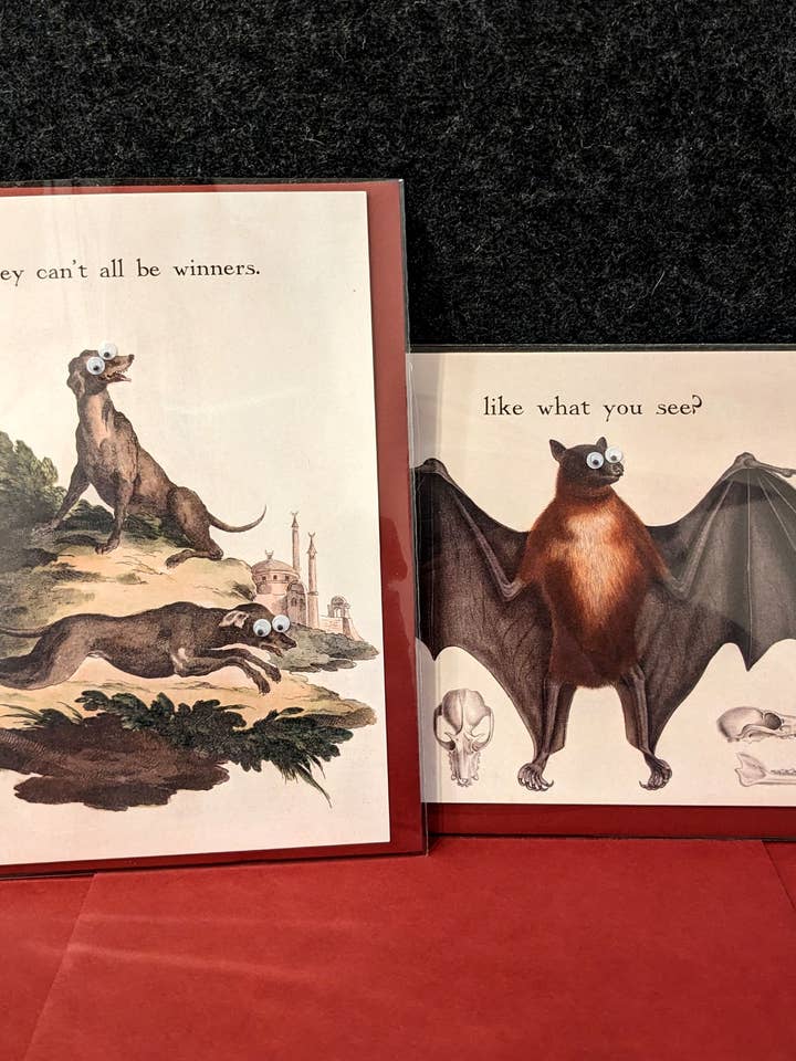 Stupide Saint-Valentin ! Cartes de vœux avec yeux écarquillés pour la vente par Shut Up Telescope