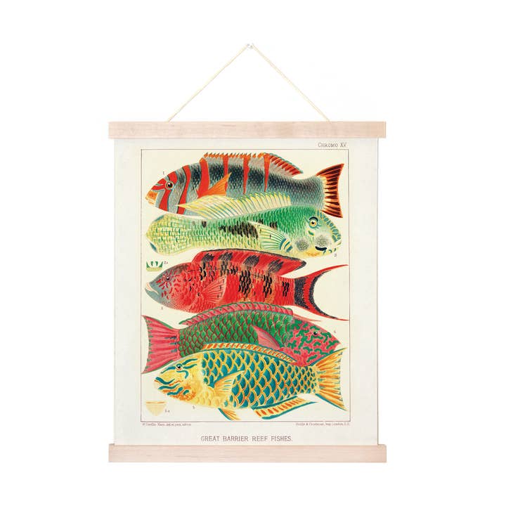 Curious Prints - Wholesale Art print - Vintage Tropical Summer Beach Fish 2 Print w/ optional frame1