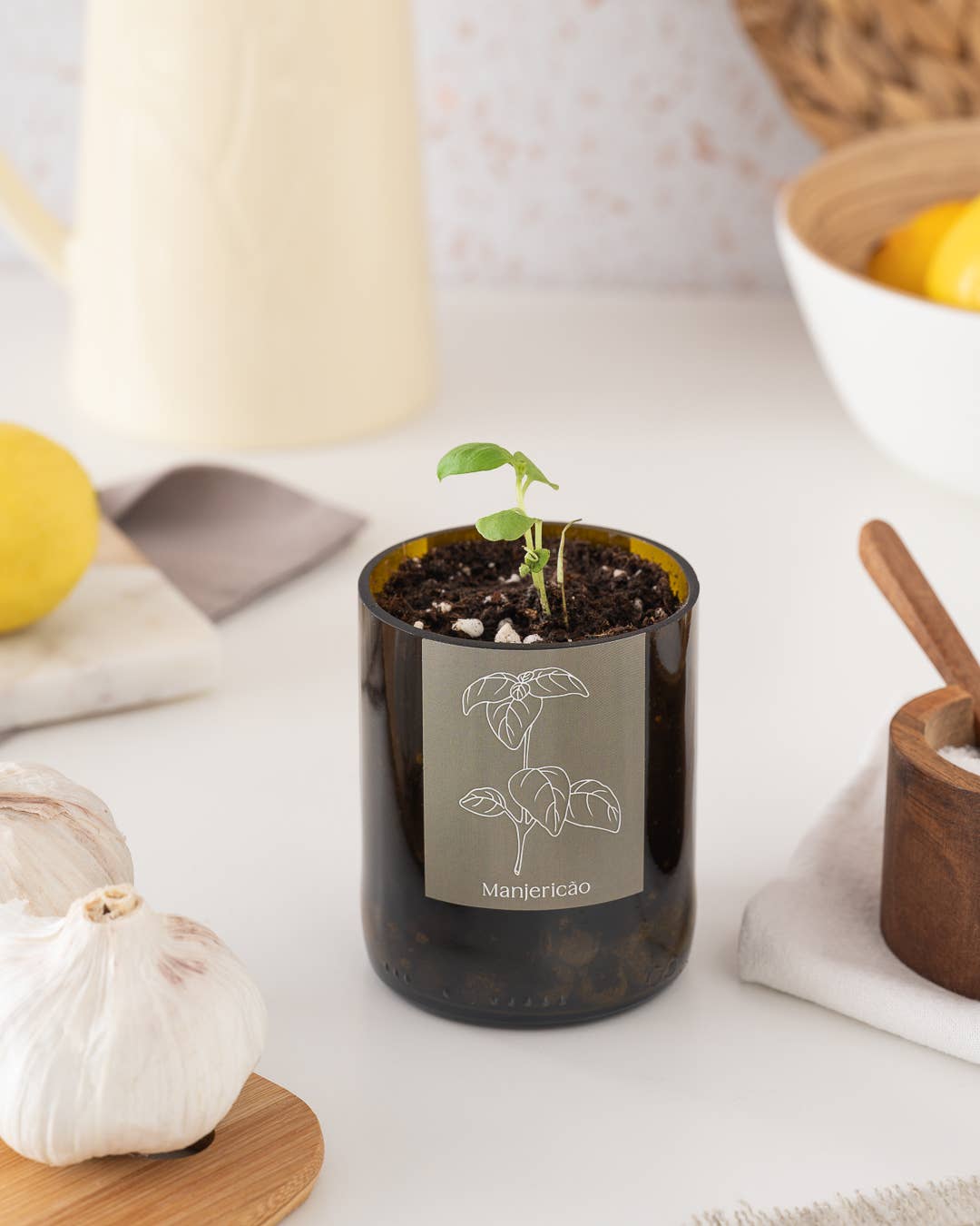 Life in a bag - Wholesale Plant Pot - Bottle Garden Basil1