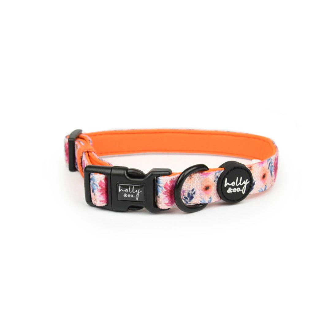 Holly and Co Australia Pty Ltd - Wholesale Pet Collar - Dog - Dog Collar // Sweet Coraline0