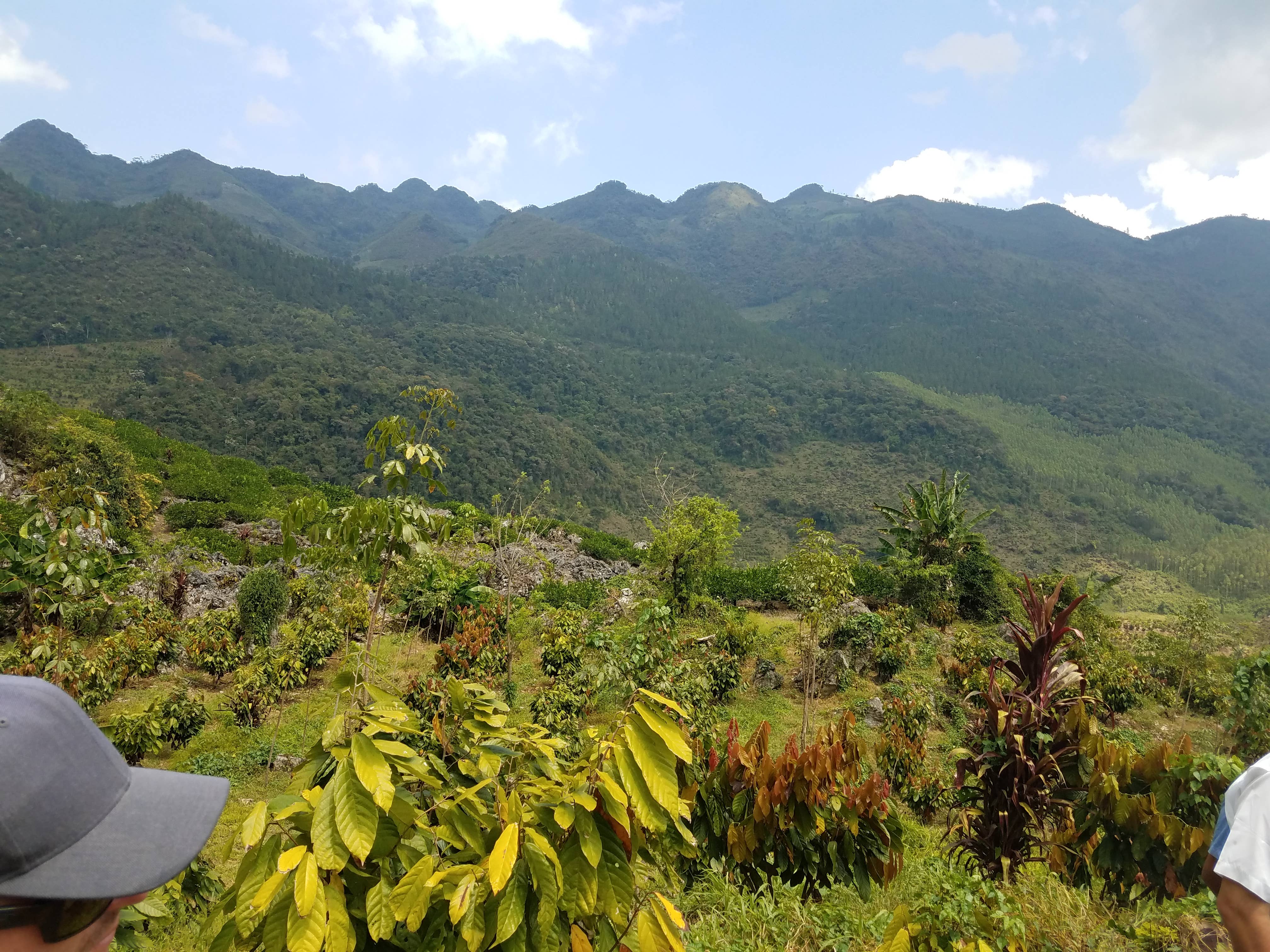 BOHO Chocolate – Barra de chocolate por atacado – 70% Chocolate Negro/GUATEMALA (USDA Biológico)4