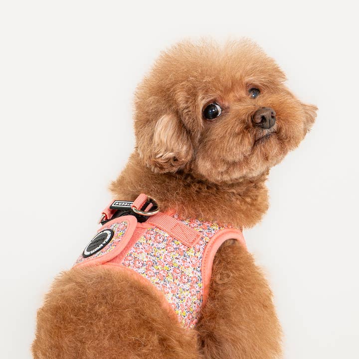 Puppia International Inc. - Wholesale Pet Harness - Dog - KEALOHA STEP IN DOG HARNESS FLORAL4