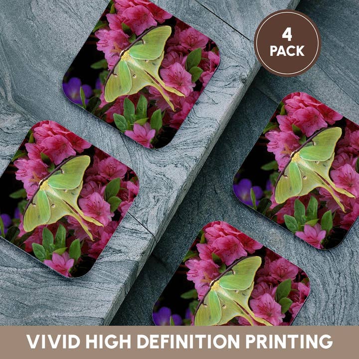 3dRose - Wholesale Coasters - 3dRose, USA, Pennsylvania, Luna moth insect, pink azaleas - US39 BJA0010 - Jaynes Gallery, Coaster12
