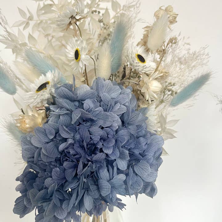 Neon Knotz - Wholesale Gedroogde/geperste bloemen - Blauwe hortensia, gedroogde bloempotten