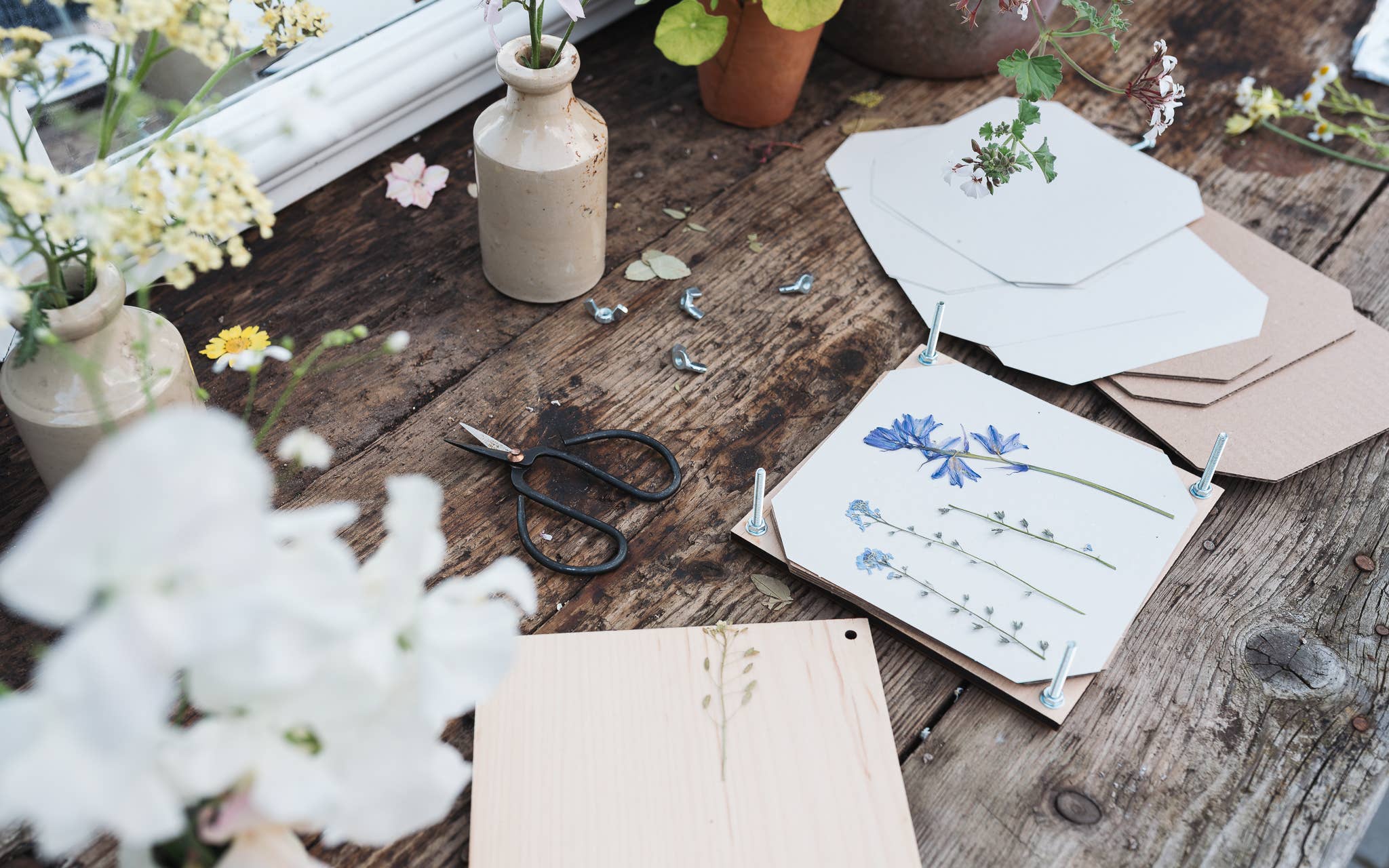 Studio Wald - UK Made – Engroshandel DIY-hobbysæt – Blomsterpresse - Daisy4